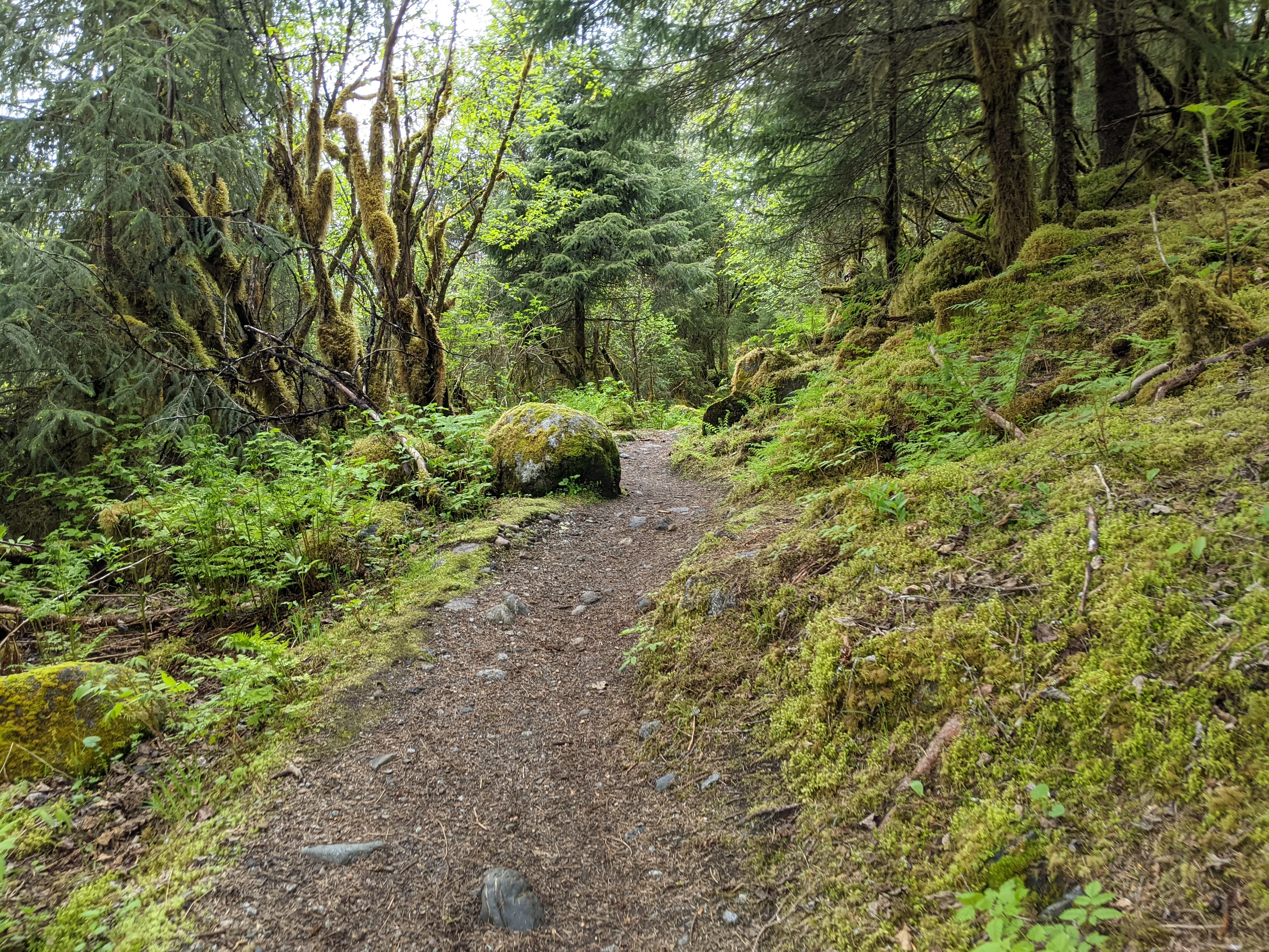 seward hike path.CgOe0J7J.jpg