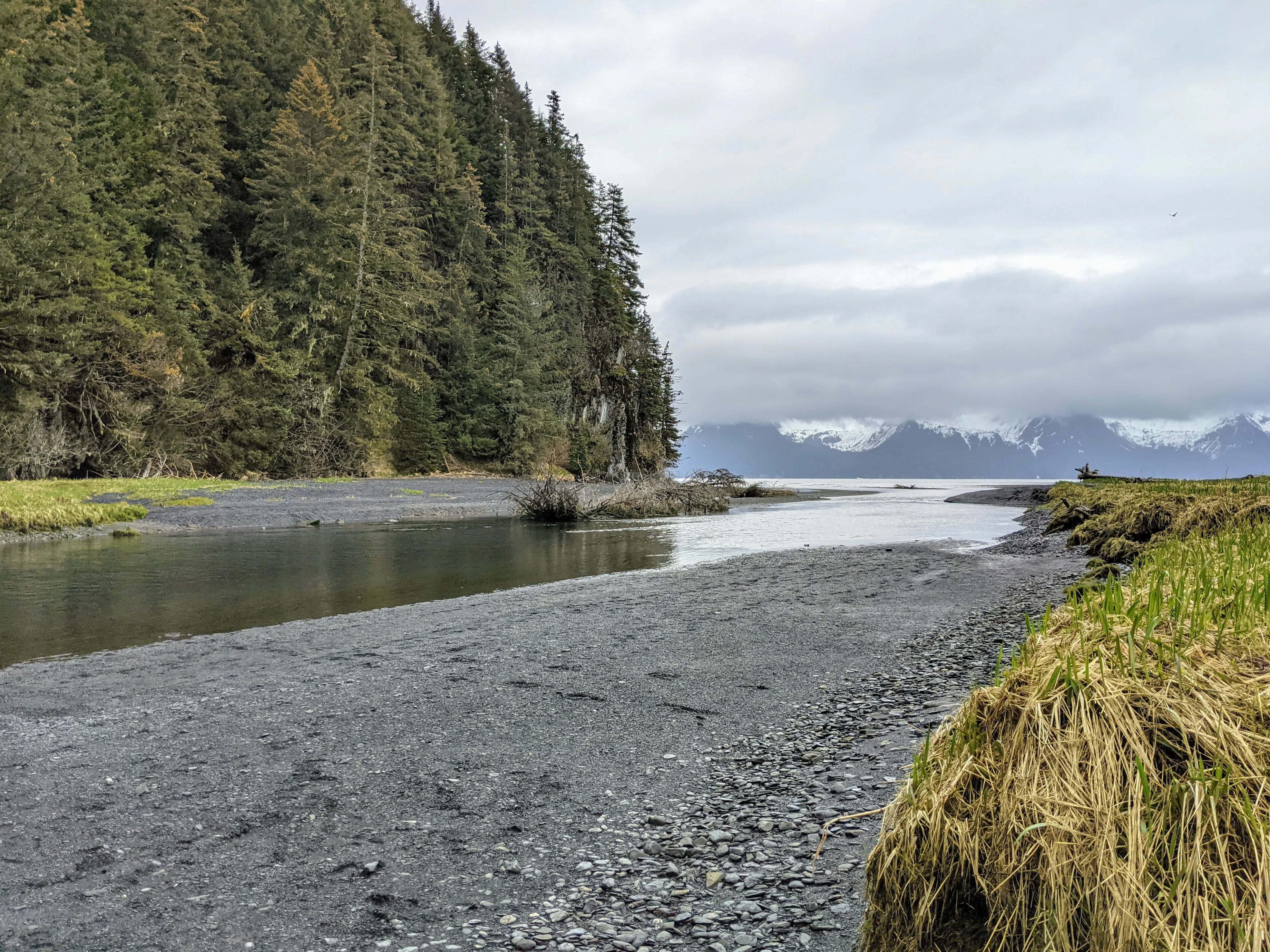 seward hike river.CQXkXLy5.jpg