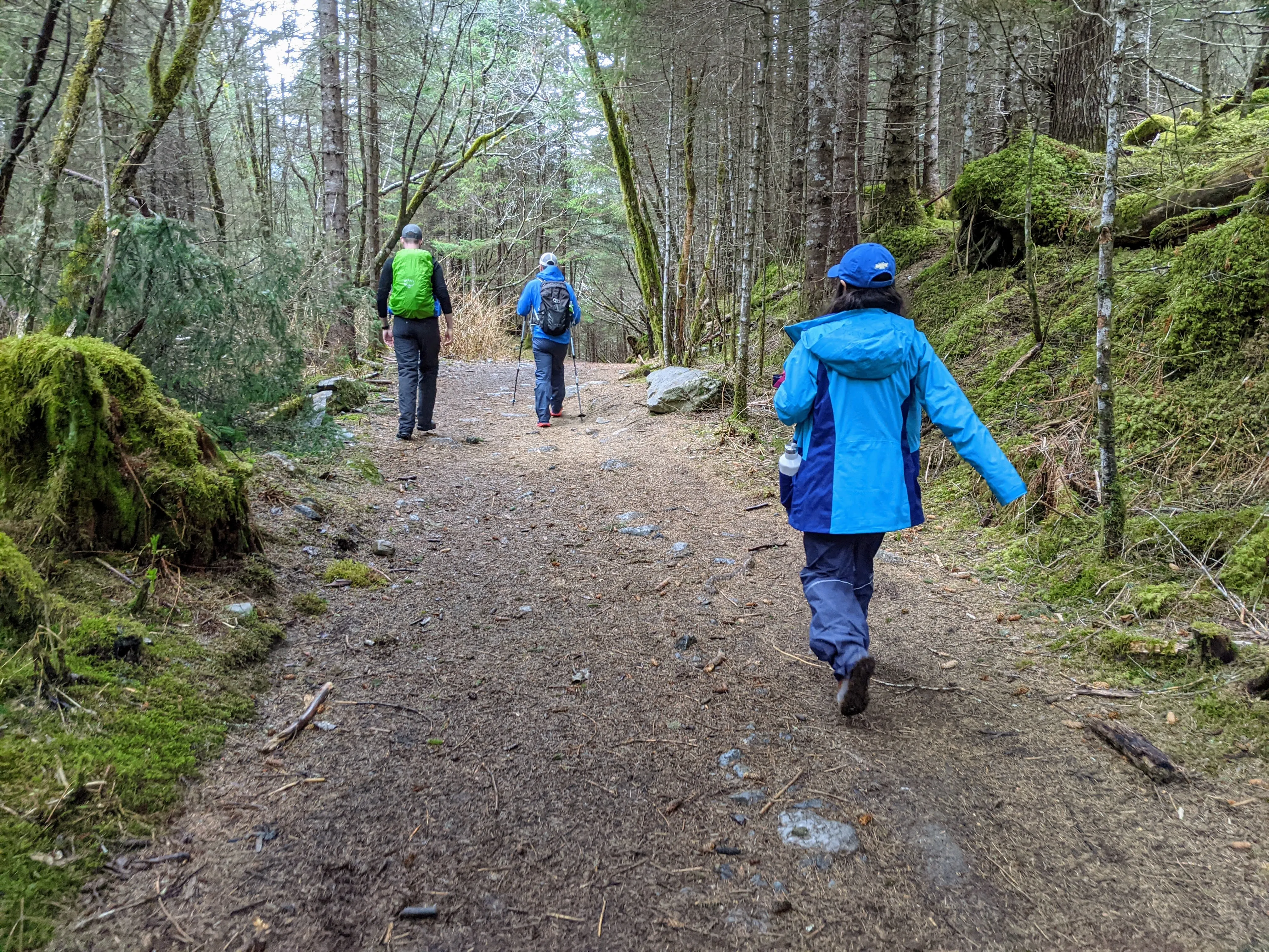 seward hike woods.Ck4_bnm .jpg