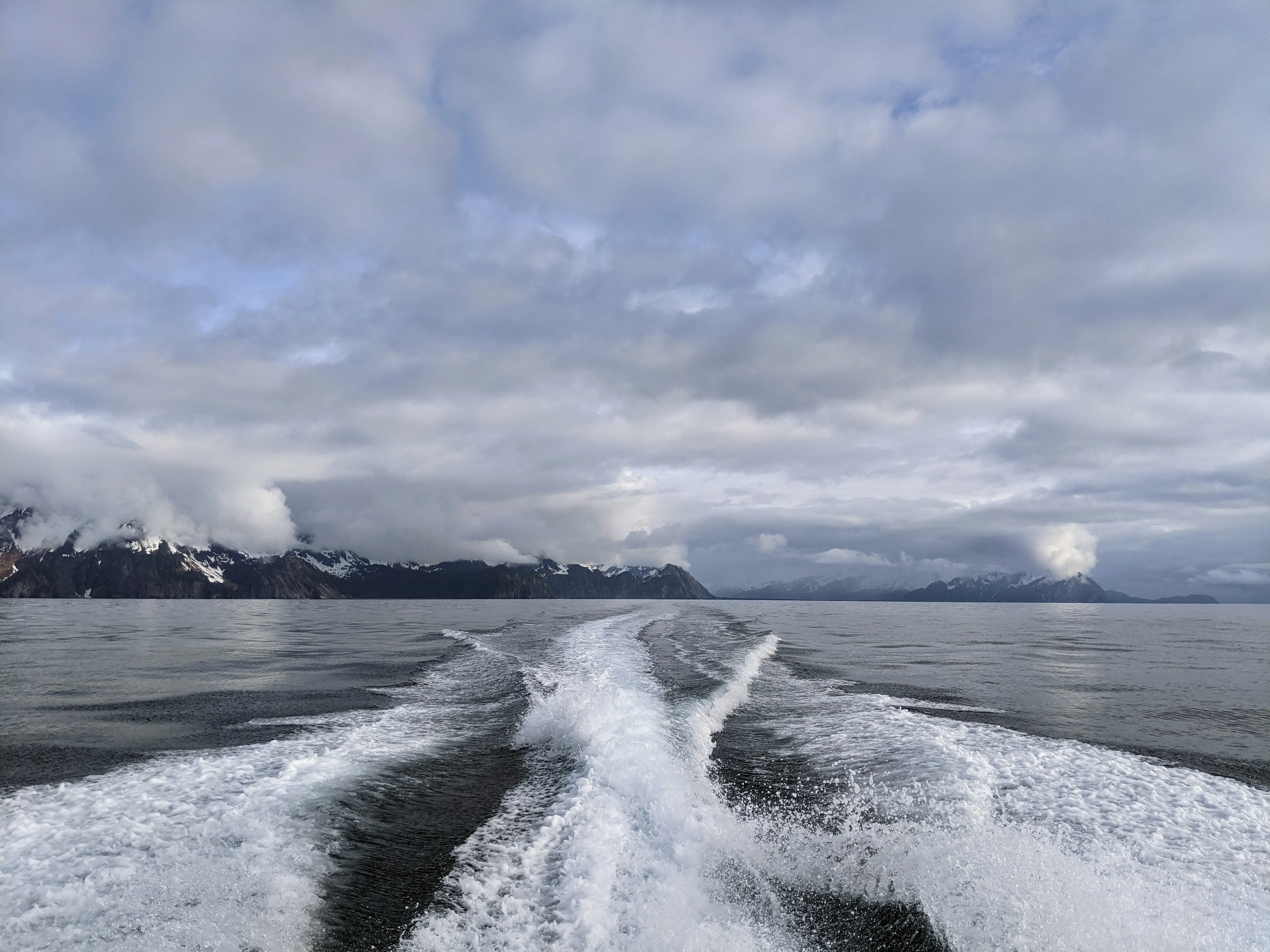 seward wake.BqVMqafP.jpg