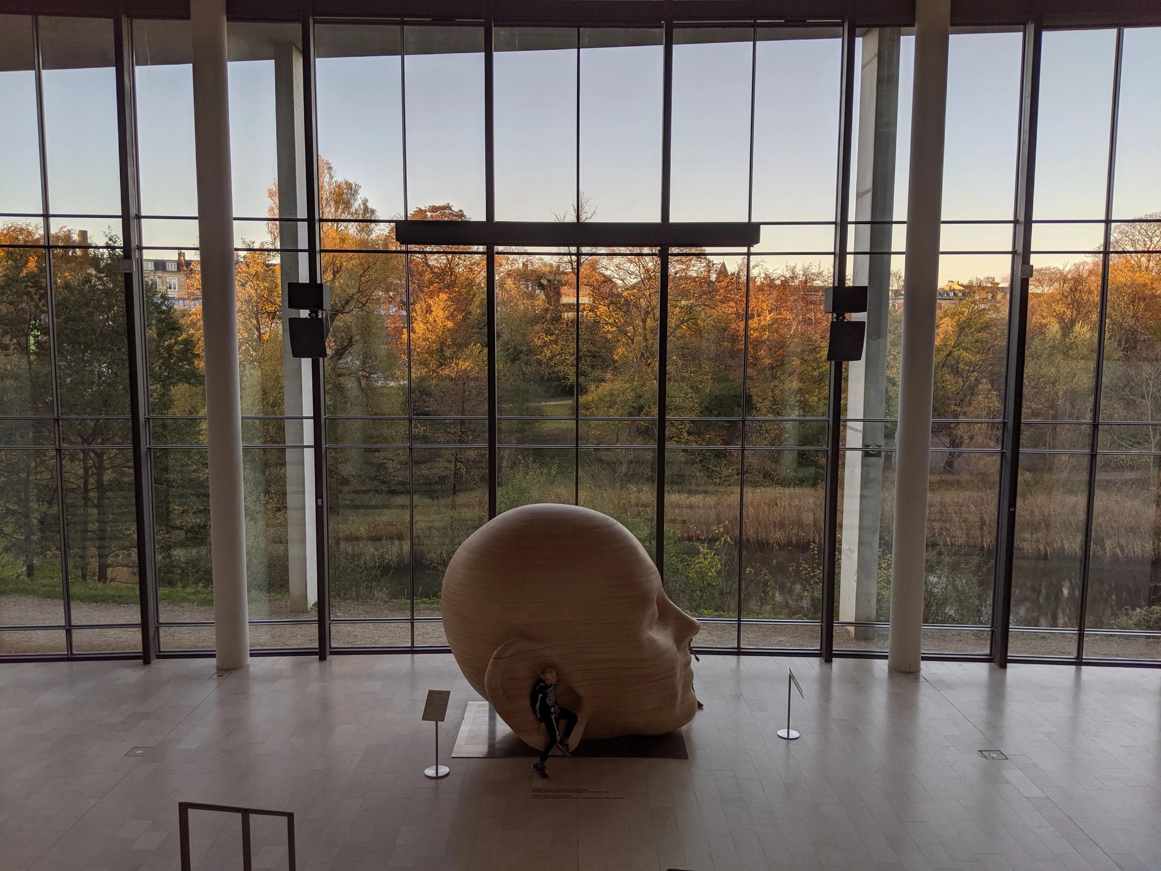 statens museum head.8ePgi Rx.jpg