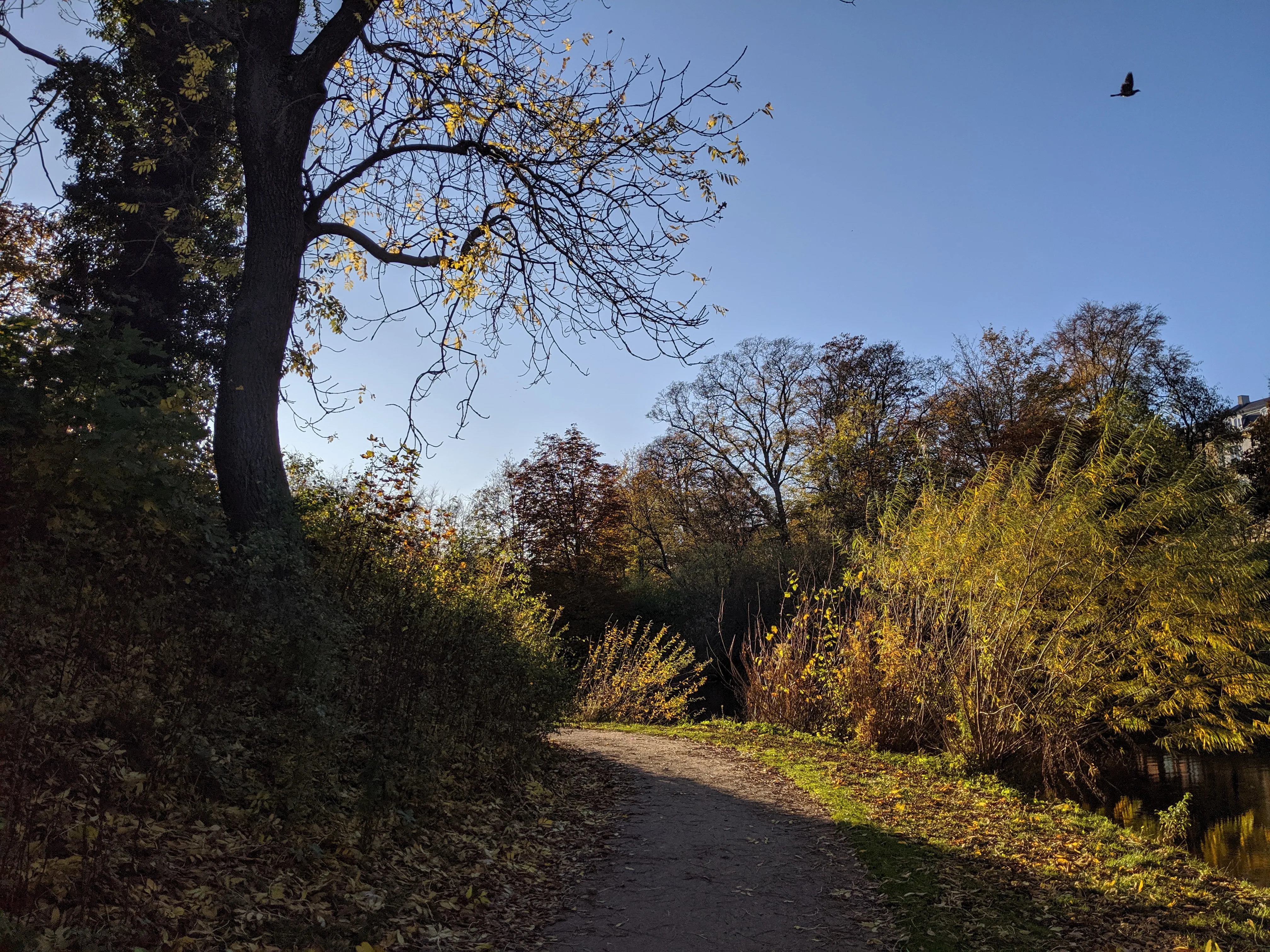 statens museum park.Du1yDc_7.jpg