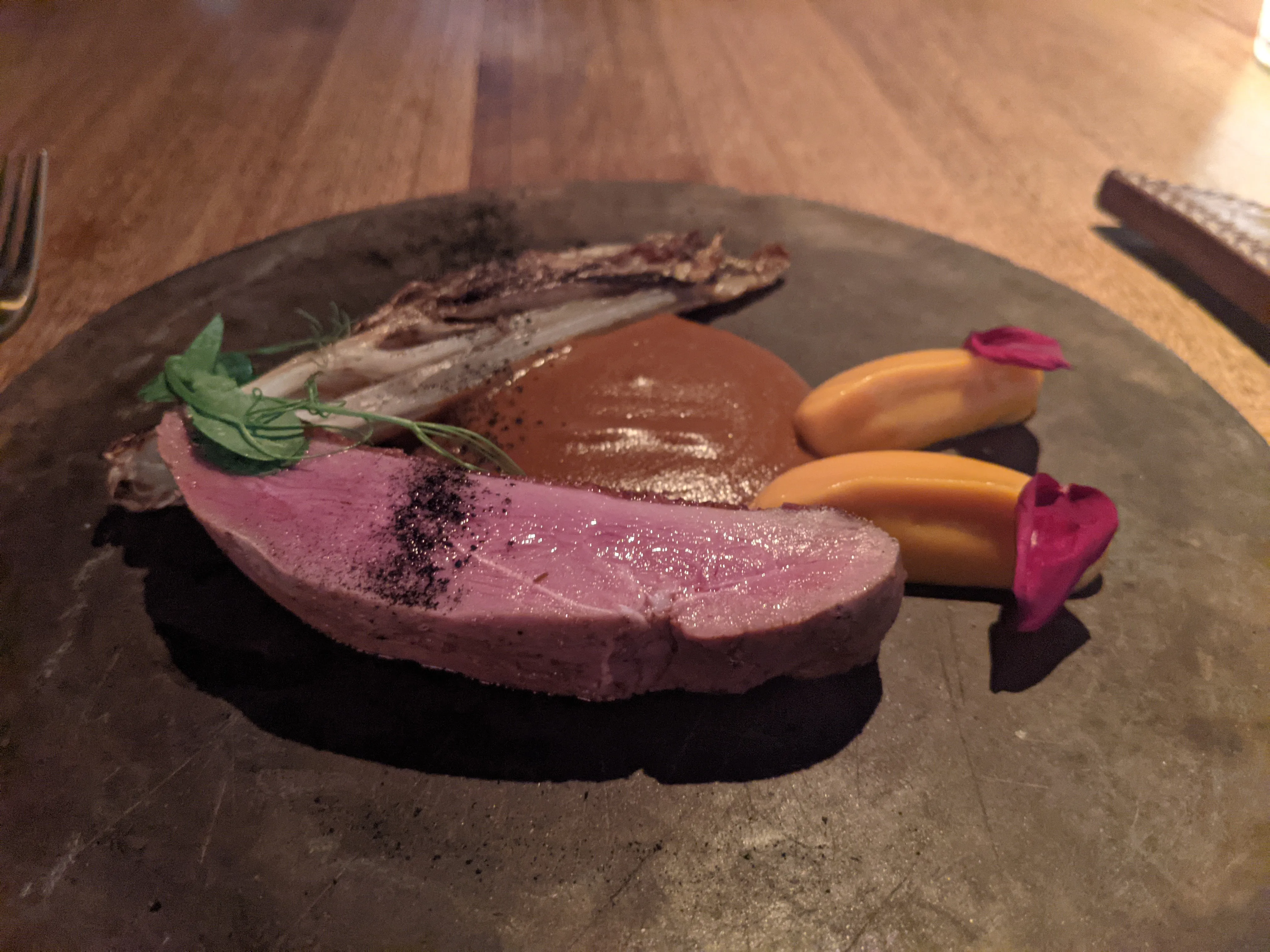 sud duck.CayosoMq.jpg