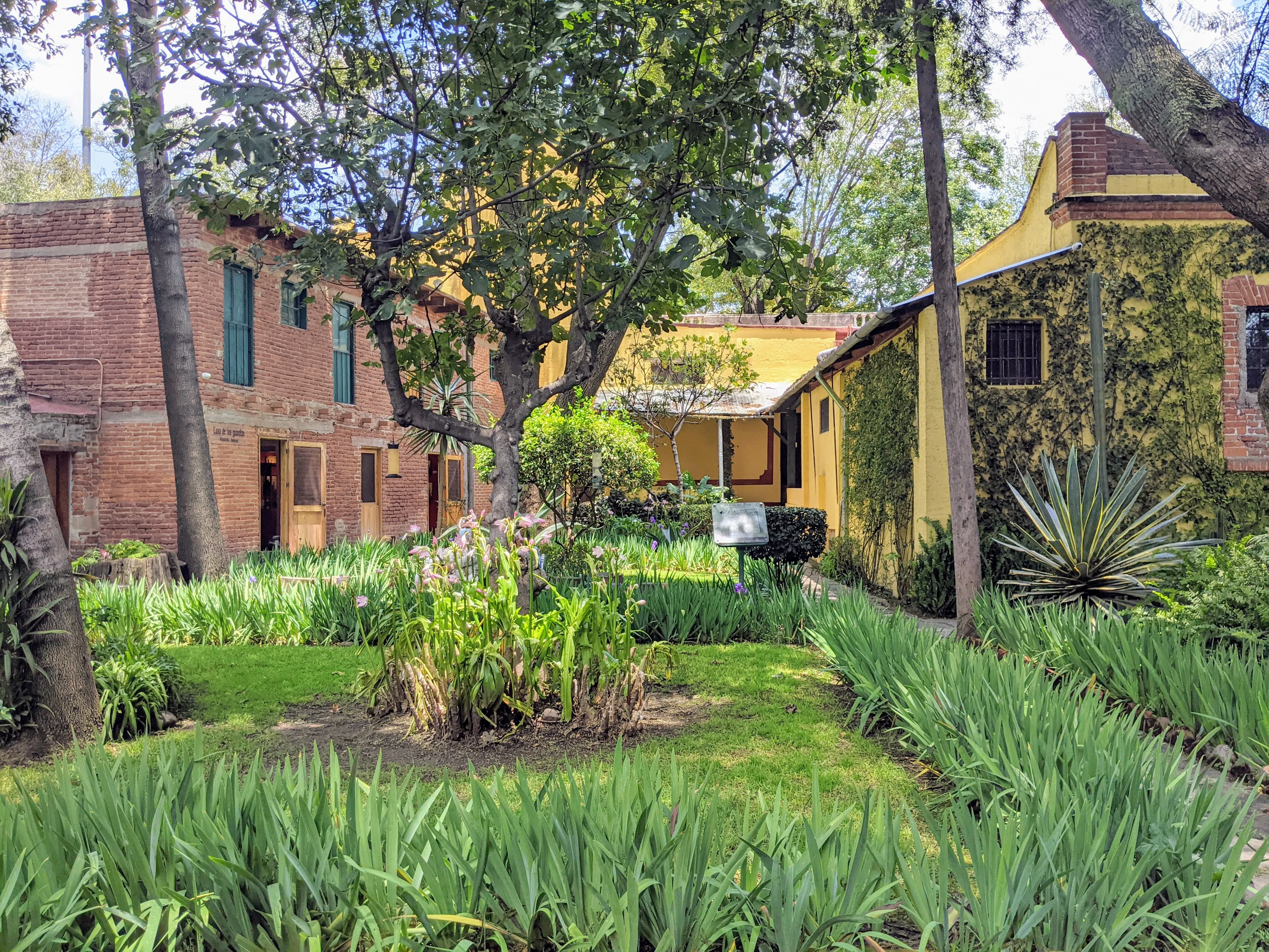 trotsky garden.D5EgM2FN.jpg