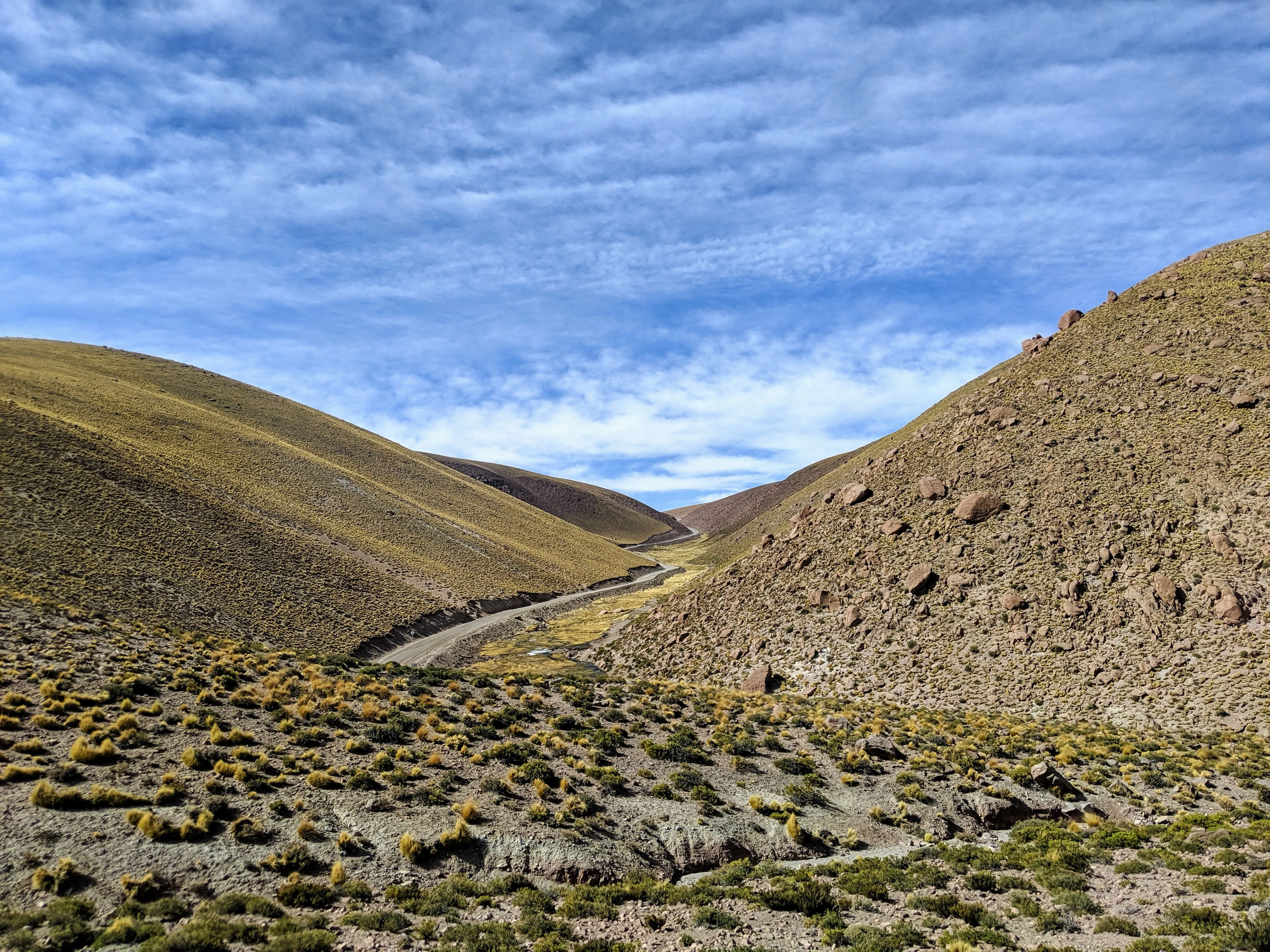 valley road.DIMMGnzH.jpg